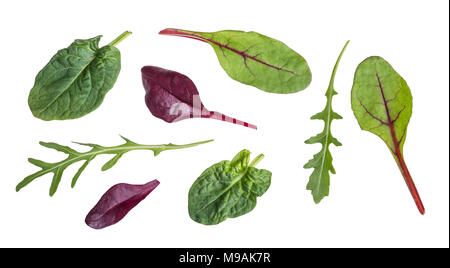 Blatt Rucola, roten Rüben, Spinat und Mangold. Sammlung von Frische, gesunde Kräuter und pflanzliche Blätter voller Vitamine und Antioxidantien. Isoliert. Stockfoto
