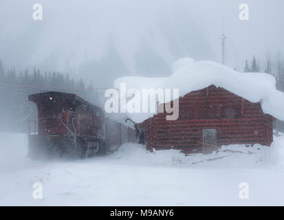 Hlw-Lok 8640 schiebt Kohlenzug eastbound Vergangenheit Rogers Pass Gletscher Station in fallenden Schnee BC Stockfoto