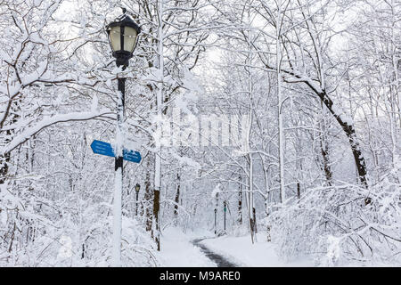 Ein schneebedecktes Park weg am Morgen nach einem historischen Frühling Schneesturm in Prospect Park, Brooklyn Stockfoto