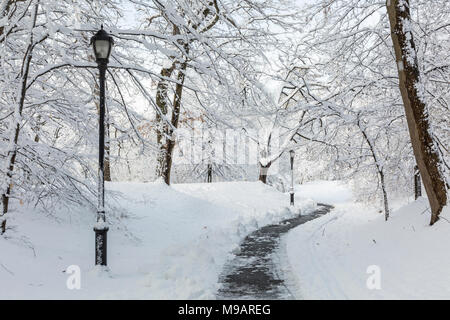 Ein schneebedecktes Park weg am Morgen nach einem historischen Frühling Schneesturm in Prospect Park, Brooklyn Stockfoto