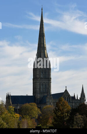 Die Kathedrale von Salisbury in herbstlichen Nachmittag Licht Stockfoto