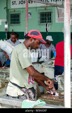 St. Johns Öffentlichkeit Fisch Markt, St. John's, Antigua Stockfoto