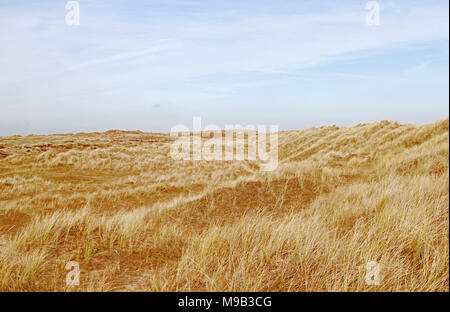 Ein Blick auf die Dünen von Winterton National Nature Reserve an der Ost Küste von Norfolk bei Winterton-on-Sea, Norfolk, England, Vereinigtes Königreich, Europa. Stockfoto