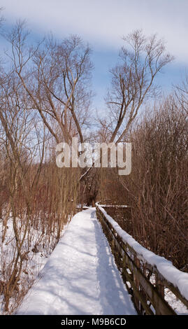 Eine verschneite Holzsteg über den Winter woods Stockfoto