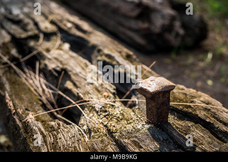 Die alte Eisenbahn Riegel mit alten Nagel in Morgensonne Stockfoto