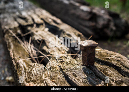 Die alte Eisenbahn Riegel mit alten Nagel in Morgensonne Stockfoto