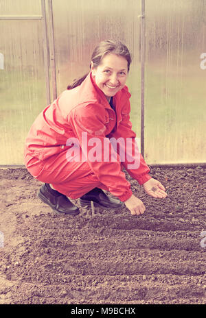 Reife Frau sät Samen im Boden im Gewächshaus Stockfoto