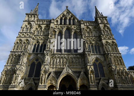 Die Kathedrale von Salisbury in herbstlichen Nachmittag Licht Stockfoto