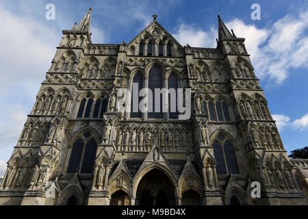 Die Kathedrale von Salisbury in herbstlichen Nachmittag Licht Stockfoto