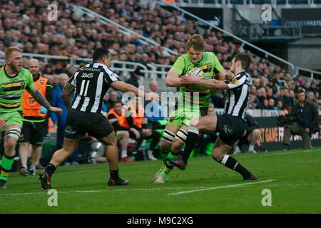 Newcastle upon Tyne, England, 24. März 2018. Malcolm Young von Newcastle Falcons Bekämpfung eines Northampton Saints Spieler durch Sinoti Sinoti im AVIVA Premiership "Big One" im St James Park, Newcastle upon Tyne beobachtet. Credit: Colin Edwards/Alamy Leben Nachrichten. Stockfoto