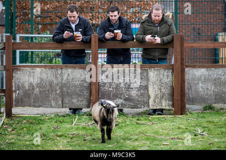 London, Großbritannien. 24. März, 2018. 10. jährlichen Oxford gegen Cambridge Ziege Rennen in Spitalfields Stadt Hof. Credit: Guy Corbishley/Alamy leben Nachrichten Stockfoto