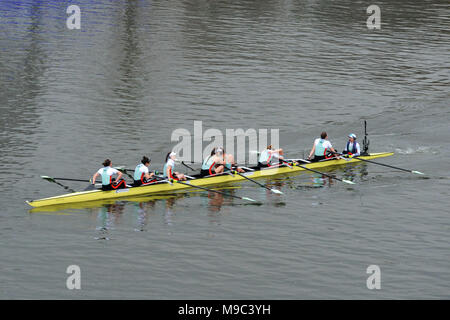 London, UK, 24. März 2018. Cambridge Frauen feiern ihren Gewinn nur nach dem Überqueren der Ziellinie in der Cancer Research UK Frauen Boat Race. Die Regatta ist eine jährliche rudern Rennen zwischen Universitäten von Oxford und Cambridge und findet alljährlich auf der Themse, zwischen Putney und Mort Credit: Michael Preston/Alamy leben Nachrichten Stockfoto