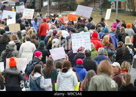 Northampton, Massachusetts, USA. 24. März, 2018. Pioneer Valley März für unser Leben. Die Marken, die in den Vereinigten Staaten und anderen Ländern am 24. März 2018 stattfand, verstärkte Unterstützung Gun Control im Zuge einer tödlichen Masse schießen auf Marjory Stoneman Douglas High School in Parkland, Florida, das viele andere tödliche Massenerschießungen in den Vereinigten Staaten gefolgt. Credit: Susan Pease/Alamy leben Nachrichten Stockfoto