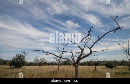 Blick auf die Landschaft an Latimer Münster, eine Kirche in der Nähe von Gerrards Cross und Chalfont St Peter, Buckinghamshire, Großbritannien Stockfoto