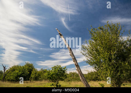 Blick auf die Landschaft an Latimer Münster, eine Kirche in der Nähe von Gerrards Cross und Chalfont St Peter, Buckinghamshire, Großbritannien Stockfoto