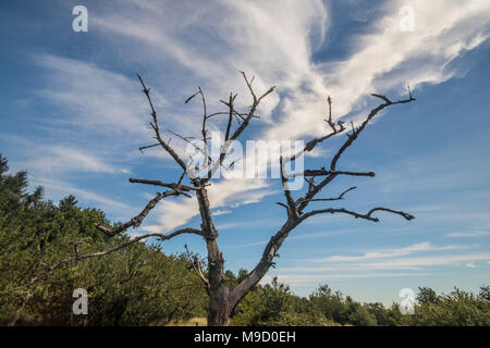 Blick auf die Landschaft an Latimer Münster, eine Kirche in der Nähe von Gerrards Cross und Chalfont St Peter, Buckinghamshire, Großbritannien Stockfoto