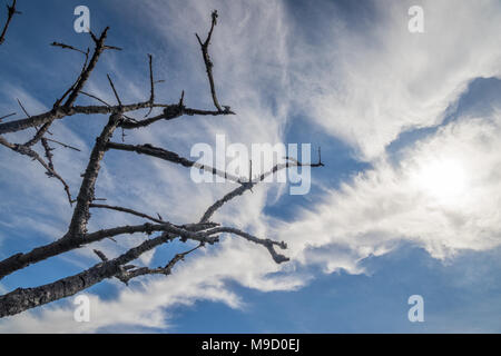 Blick auf die Landschaft an Latimer Münster, eine Kirche in der Nähe von Gerrards Cross und Chalfont St Peter, Buckinghamshire, Großbritannien Stockfoto