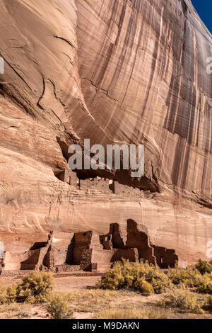 White House Ruin, Canyon de Chelly National Monument, AZ Stockfoto