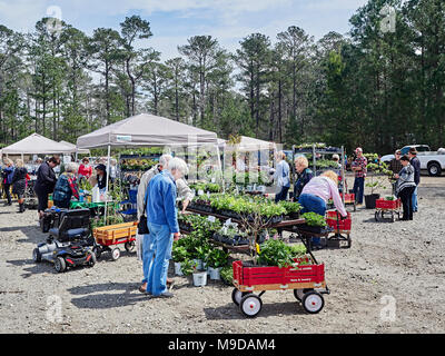 Ältere ältere, reife Paar Einkaufen für Garten Pflanzen im Frühjahr plant Verkauf in Callaway Gardens, Pine Mountain Georgia, USA. Stockfoto