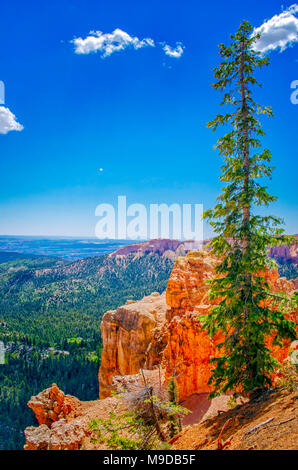 Hohen Pinien schöne Aussicht auf Sandsteinfelsen und das Tal unter dem Himmel. Stockfoto