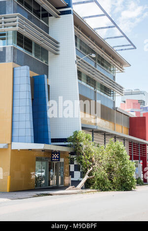 Darwin, Northern Territory, Australia-March 18,2018: umgefallene Baum nach dem Zyklon Marcus vor der Polizeistation in Darwin, Australien Stockfoto