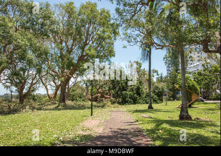 Fußweg blockiert mit Ablagerungen an den Bicentennial Park nach dem Zyklon Marcus in Darwin, Australien Stockfoto