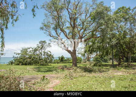 Baum Ablagerungen und Timor Meerblick nach dem Zyklon Marcus Darwin, Australien im März 2018 getroffen. Stockfoto