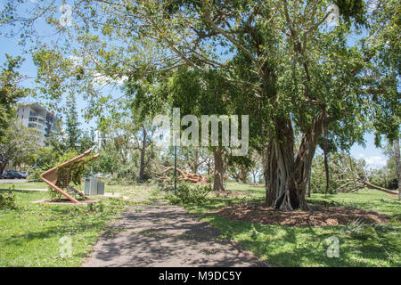 Darwin, Northern Territory, Australia-March 18,2018: Gesperrt Wanderweg an den Bicentennial Park mit gefallenen Baum nach dem Zyklon Marcus in Darwin, Australien Stockfoto