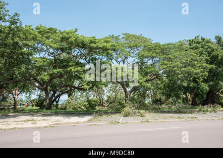 Darwin, Northern Territory, Australia-March 18,2018: Menschen zu Fuß durch die Ablagerungen an den Bicentennial Park nach dem Zyklon Marcus in Darwin, Australien Stockfoto