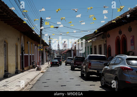 Nach Eichhörnchen mit der Oberseite nach unten auf eine Niederlassung suchen nach Nahrung in Laguna de Apoyo, Nicaragua hängen Stockfoto
