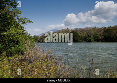 Vulkan Concepcion sichtbar von Charco Verde Naturschutzgebiet auf der Insel Ometepe, Nicaragua, Mittelamerika Stockfoto