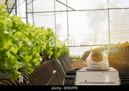 Intelligente Roboter in der Landwirtschaft futuristisches Konzept, Roboter Landwirte (Automatisierung) müssen programmiert werden in der Vertikalen oder indoor Farm für die Erhöhung des eff zu arbeiten Stockfoto