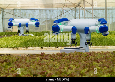 Intelligente Roboter in der Landwirtschaft futuristisches Konzept, Roboter Landwirte (Automatisierung) müssen programmiert werden in der Vertikalen oder indoor Farm für die Erhöhung des eff zu arbeiten Stockfoto