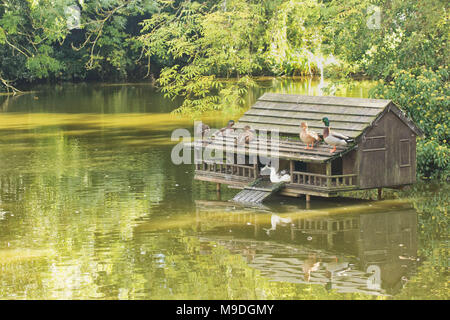 Duckhouse am Dorfteich in Oxfordshire, Sommer, England, Vereinigtes Königreich Stockfoto
