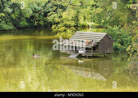 Duckhouse am Dorfteich in Oxfordshire, Sommer, England, Vereinigtes Königreich Stockfoto