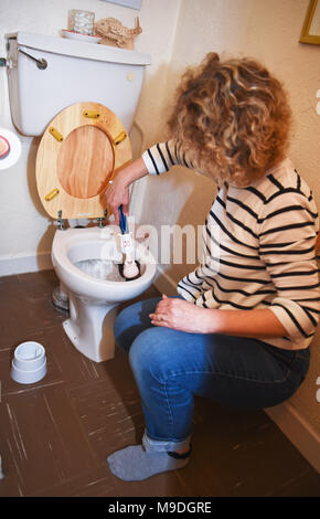 Weibliche Reinigung, Toilette mit einer Neuheit WC-Bürste Stockfoto