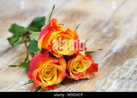 Drei rote und orange Rosen in Glitzer auf Holz- Oberfläche mit Kopie Raum abgedeckt Stockfoto