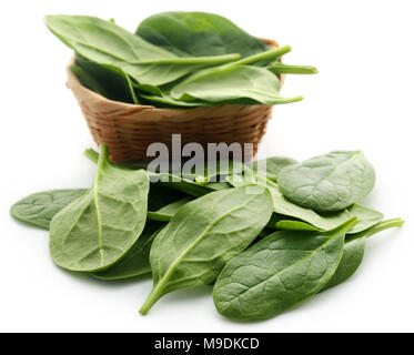 Frischer Spinat in der Schüssel auf weißem Hintergrund Stockfoto