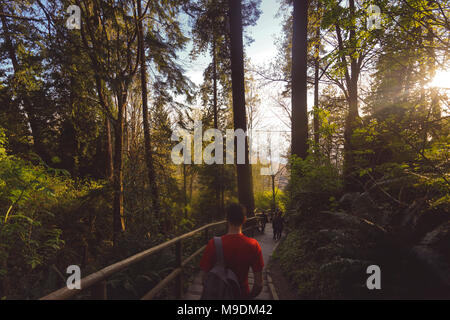 Hinunter, die Treppe zu Wreck Beach, Vancouver, BC Stockfoto