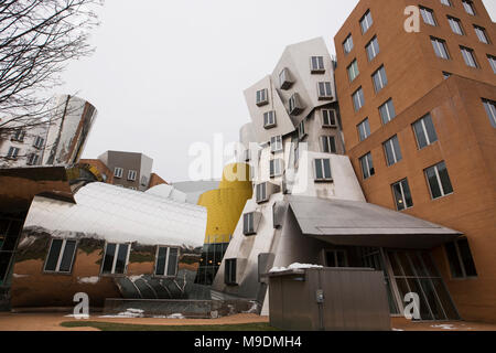 Der Ray und Maria Stata Center, entworfen vom Architekten Frank Gehry, am Massachusetts Institut für Technologie in Cambridge, Massachusetts. Stockfoto