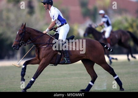 Der Wanderer Klassiker an der Internationalen Polo Club in Wellington, Florida Stockfoto