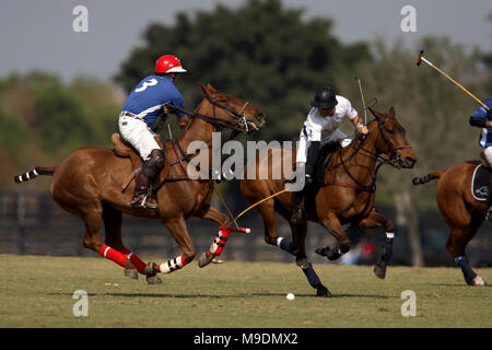 Der Wanderer Klassiker an der Internationalen Polo Club in Wellington, Florida Stockfoto