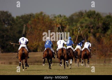 Der Wanderer Klassiker an der Internationalen Polo Club in Wellington, Florida Stockfoto