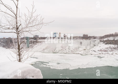 Eisbedeckten Baum am Niagara Falls mit Eis im Fluss Stockfoto