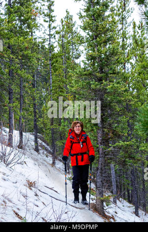 43,107.08527 Frau wandern schneereiche Winter Trail durch Nadelbaumbaum Wald auf dem Weg nach Morro Peak in der Nähe von Jasper, Kanada Stockfoto