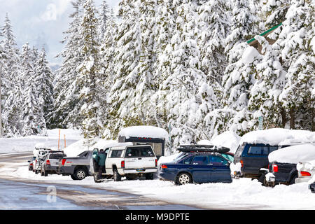 43,160.09727 Winter schneebedeckte Straße, Bäume & geparkte Fahrzeuge Stockfoto