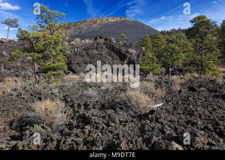 Antike Lava AA Flow, Sunset Crater National Monument, Arizona Stockfoto