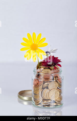 Geld Blumen im Glas voller Euro-Münzen auf weißem Hintergrund. Stockfoto