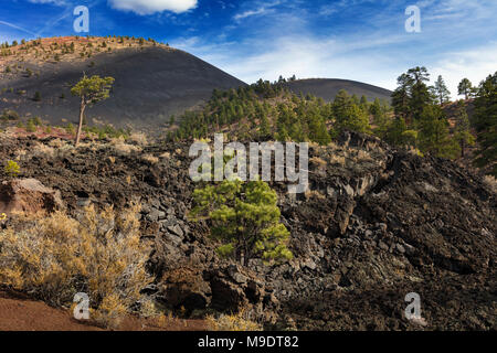 Zusammengebrochen Lava Tube & Bunte Schlackenkegel, Sunset Crater National Monument, AZ Stockfoto