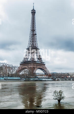 Eiffelturm in Paris Überschwemmungen im Winter 2018 überragt ein kleiner Baum aus dem Strudel der hohen Fluss Seine peeping Stockfoto